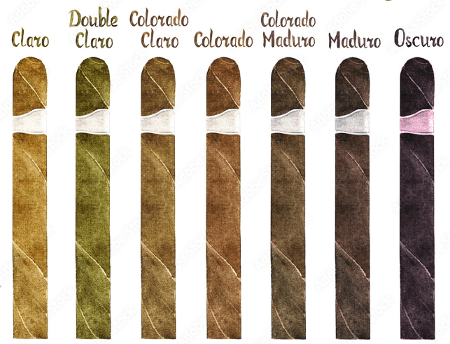 Färgstarkt: En resa genom de olika täckbladen - Swecigars