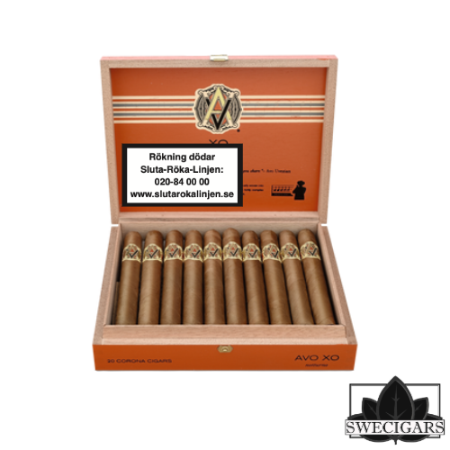 AVO XO Intermezzo Robusto - Swecigars