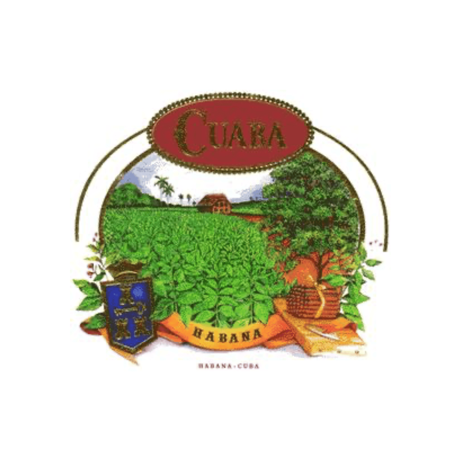 Cuaba - Swecigars