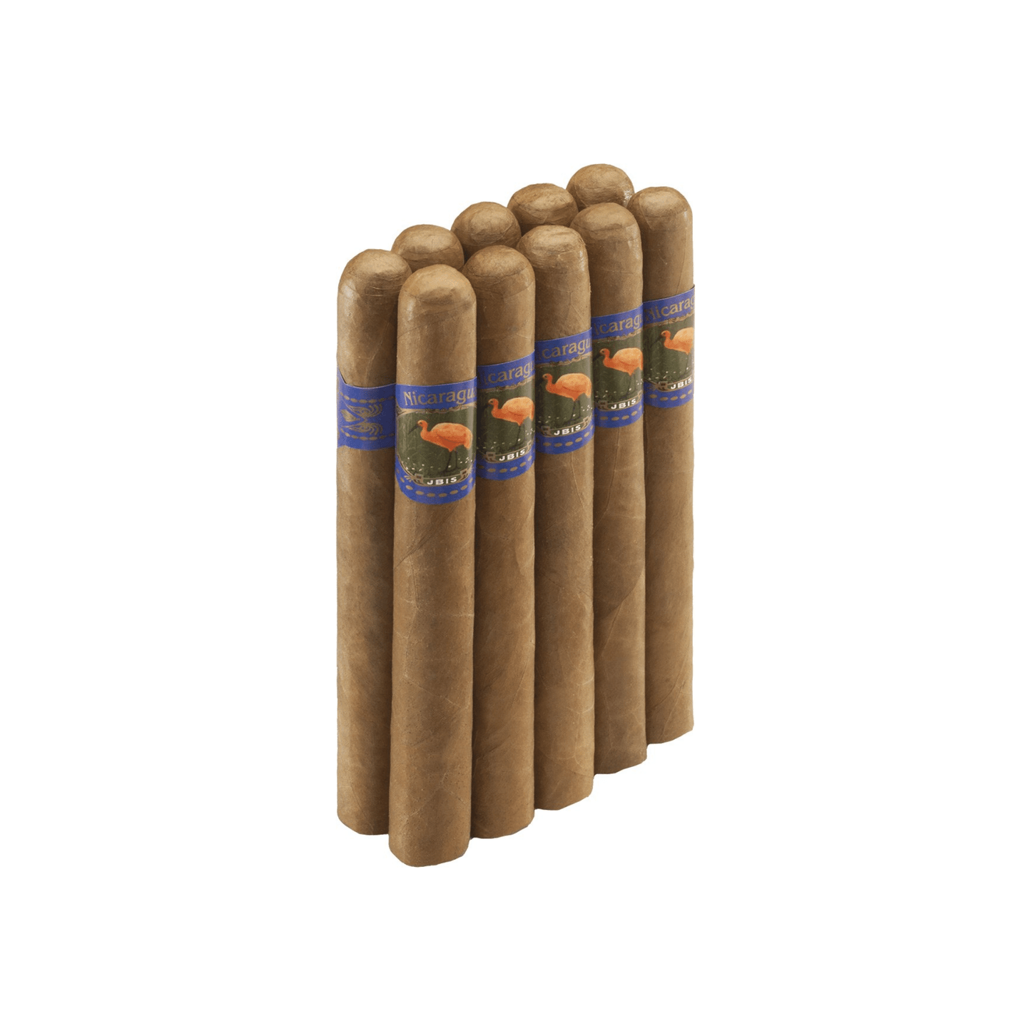 IBIS Nicaragua Robusto - Swecigars