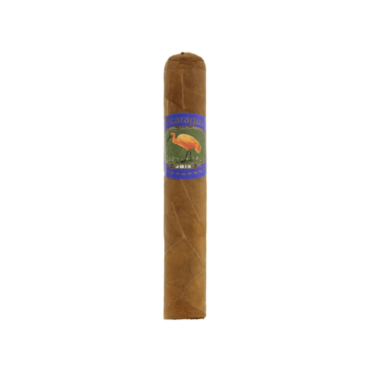 IBIS Nicaragua Robusto - Swecigars