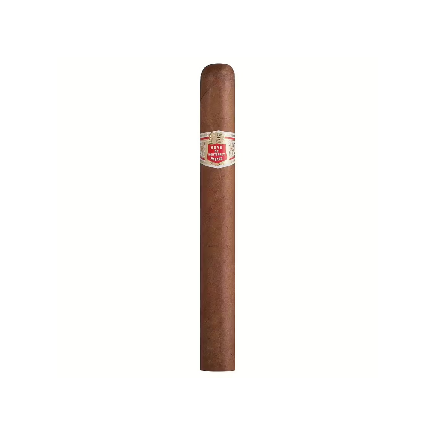 palmas-extra-hoyo-monterrey