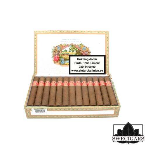 Saint Luis Rey Regios